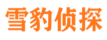 无极寻人公司